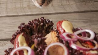 is sausage bad for cats