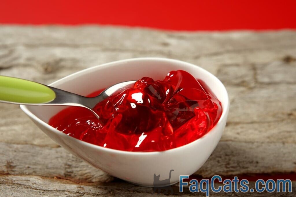 Can Cats Eat Jello Is It Safe?