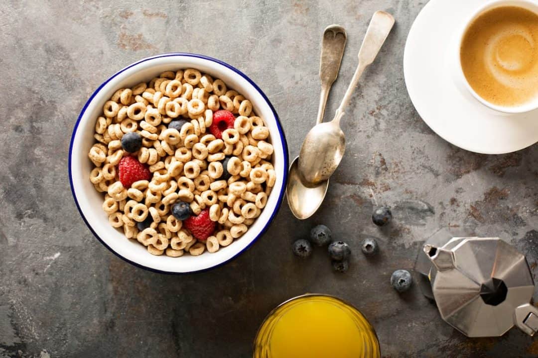 Can Cats Have Cheerios Are They Safe Or Healthy?