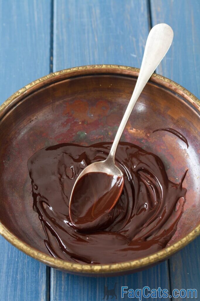 Can Cats Have Chocolate Pudding Is It Toxic To Them?