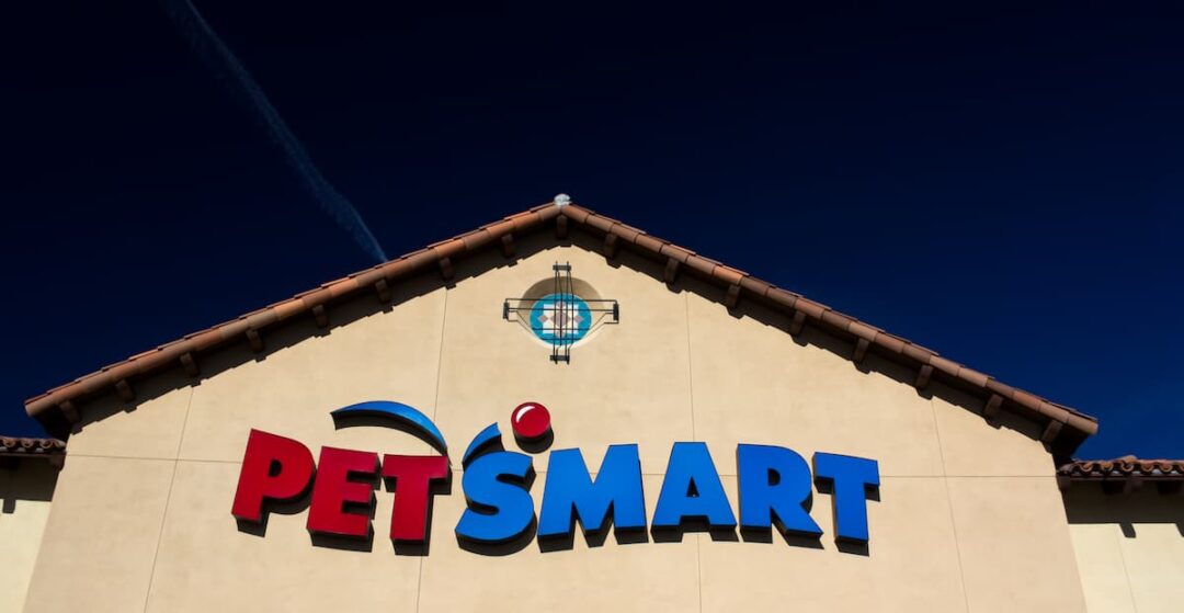 Can You Bring Cats In Petsmart Things You Should Know!