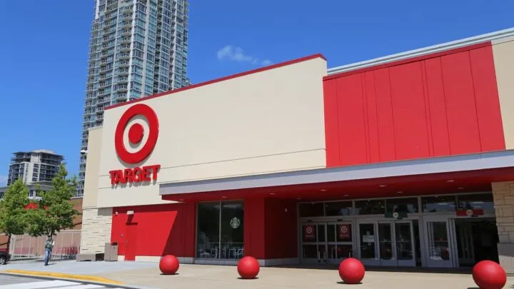 Can You Bring Cats In Target &ndash; Things To Know