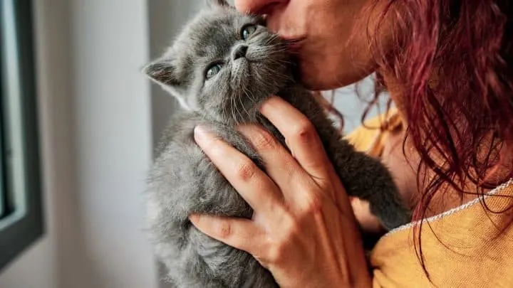 Do Cats Like Kisses &ndash; What You Should Know!