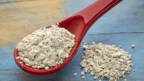 How To Apply Diatomaceous Earth To Cats &ndash; What To Know!
