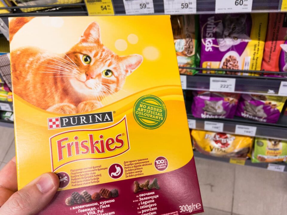 is-friskies-good-for-cats-quality-taste-nutrition-facts-faqcats