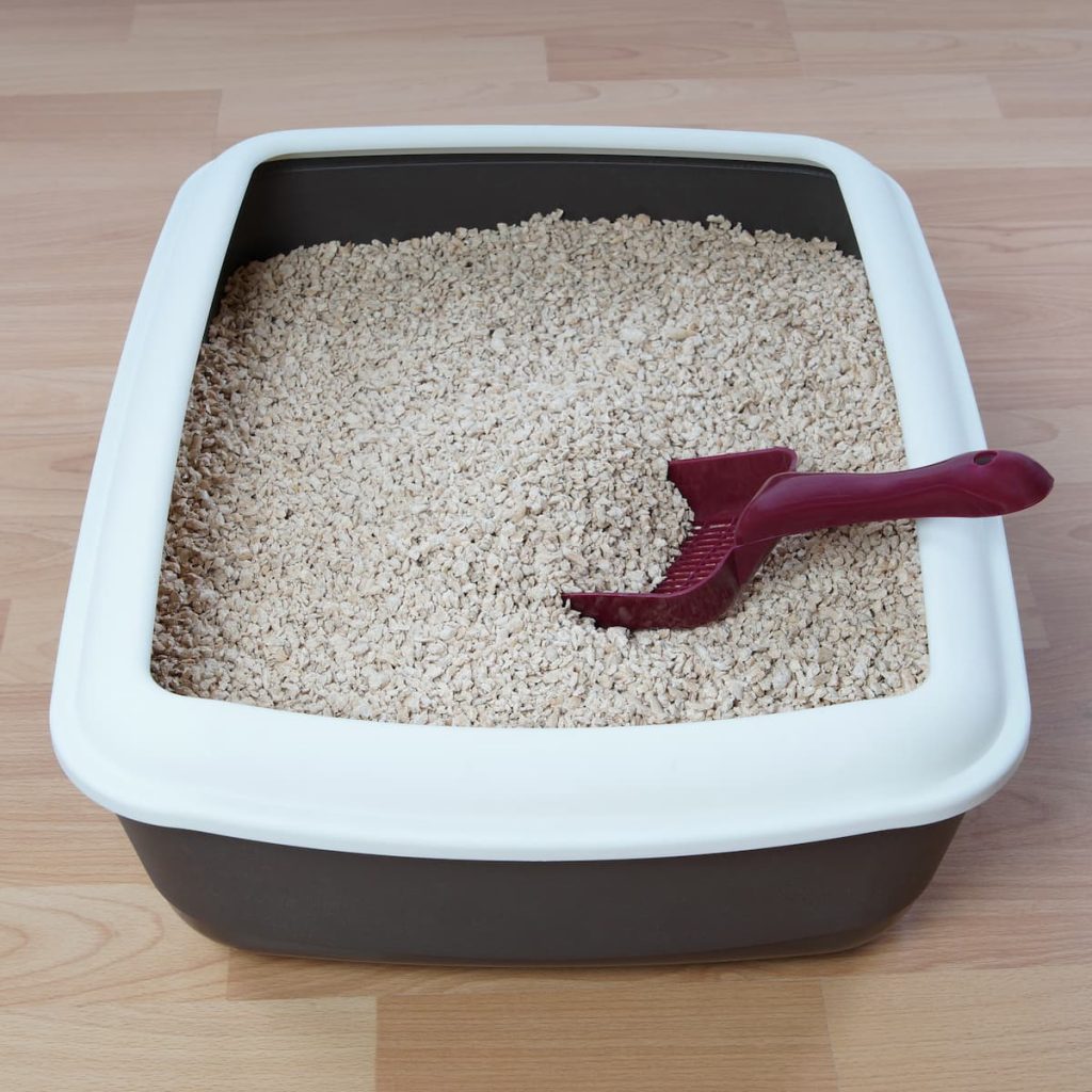 Pine Pellet Cat Litter Pros and Cons