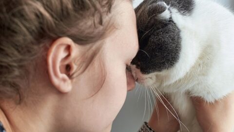 Should I Headbutt My Cat Back – 5 Things To Know!