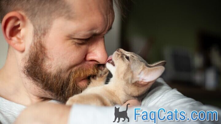 Why Does My Cat Lick My Face – 10 Reasons
