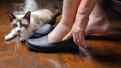 Why Does My Cat Sit On My Feet &ndash; The True Meaning!