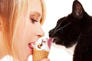 chocolate ice cream for cats