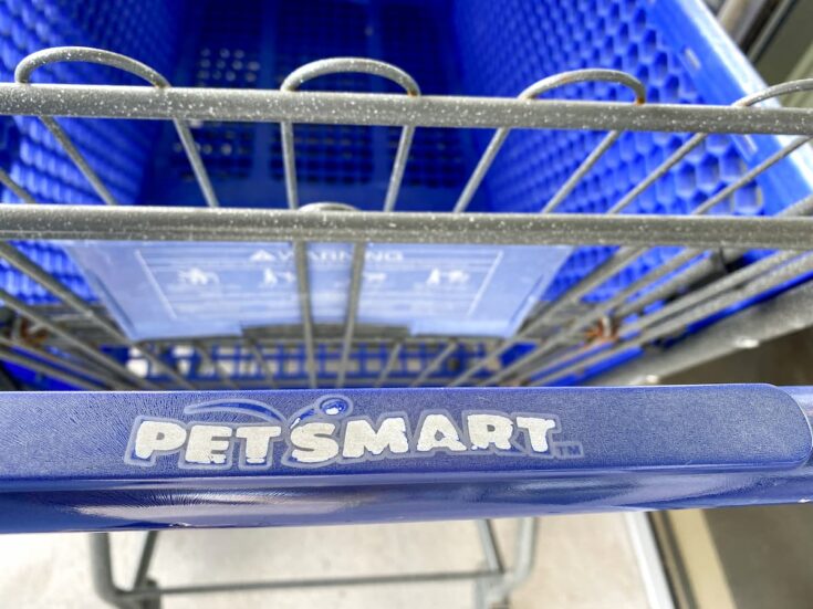 Does PetSmart Sell Cats Adoption Pricing & Other Info