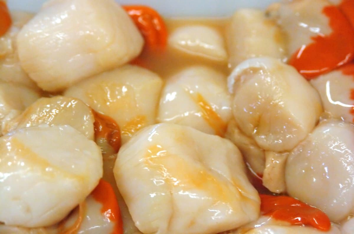 Can Cats Eat Scallops Are They A Safe Treat?