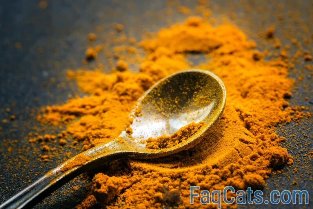 Is Turmeric Safe For Cats Benefits, Uses & Effects